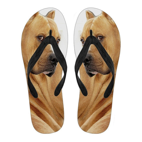 Pitbull Flip Flops For Men-Free Shipping Limited Edition