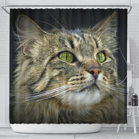 Amazing Norwegian Forest Cat Print Shower Curtains-Free Shipping