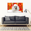 Cute Poodle Print 5 Piece Framed Canvas- Free Shipping
