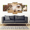 Himalayan Cat Print-5 Piece Framed Canvas- Free Shipping