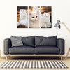 White Persian Cat Print- 5 Piece Framed Canvas- Free Shipping