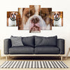 American Bulldog Print- 5 Piece Framed Canvas- Free Shipping