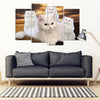 White Persian Cat Print- 5 Piece Framed Canvas- Free Shipping