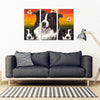 Border Collie Print-5 Piece Framed Canvas- Free Shipping