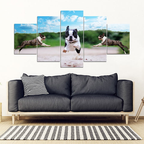 Boston Terrier Print- Piece Framed Canvas- Free Shipping