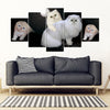 Persian cat Print-5 Piece Framed Canvas- Free Shipping