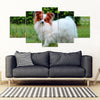 Papillon Dog Print New 5 Piece Framed Canvas- Free Shipping