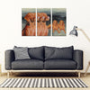 Vizsla Dog Print-5 Piece Framed Canvas- Free Shipping