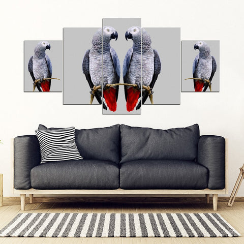 African Grey Parrot (The Grey Parrot ) Print 5 Piece Framed Canvas- Free Shipping