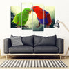 Eclectus Parrot Print 5 Piece Framed Canvas- Free Shipping