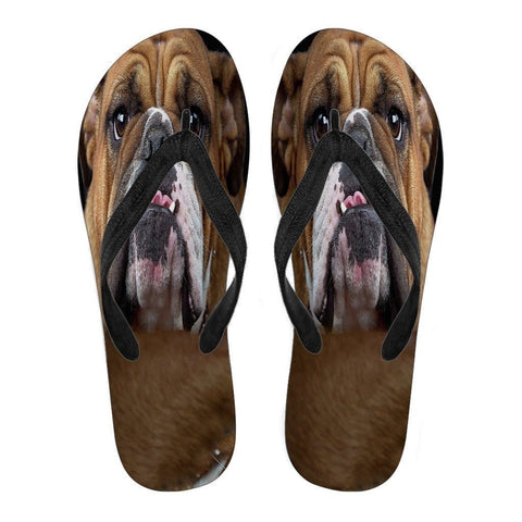 Bulldog Flip Flops For Men-Free Shipping Limited Edition