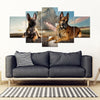 Belgian Malinois Dog Print- Piece Framed Canvas- Free Shipping