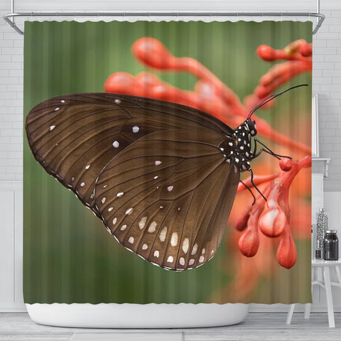 Butterfly Print Shower Curtains-Free Shipping