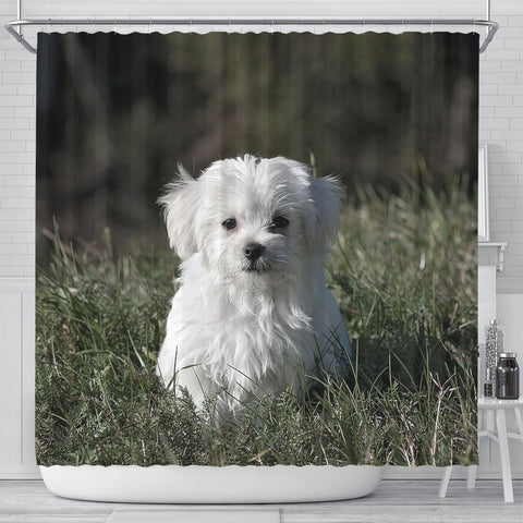 Cute Maltese Dog Print Shower Curtains-Free Shipping