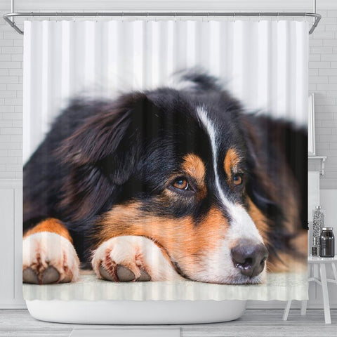 Australian Shepherd Dog Print Shower Curtains-Free Shipping