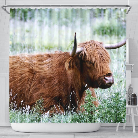 Amazing Highland Cattle (Cow) Print Shower Curtains-Free Shipping