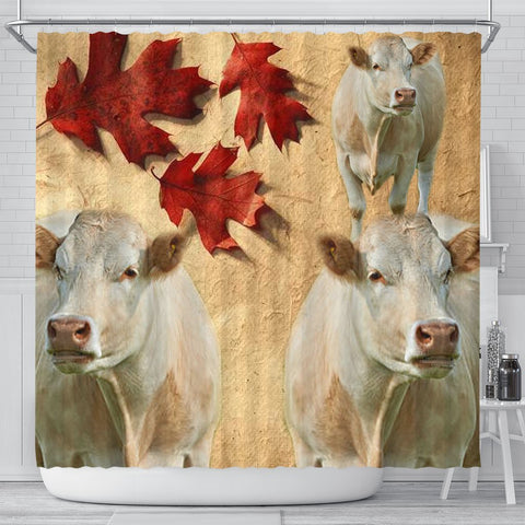 Charolais Cattle (Cow) Print Shower Curtain-Free Shipping