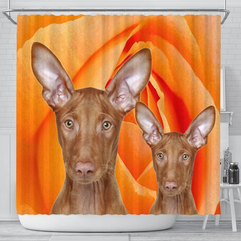 Pharaoh Hound Dog Print Shower Curtains-Free Shipping