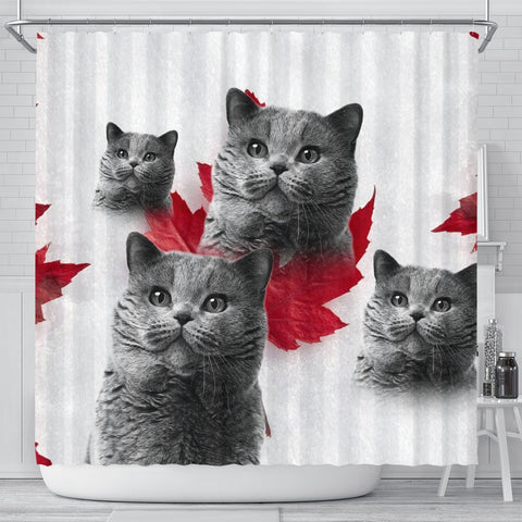 Lovely British Shorthair Cat Print Shower Curtains-Free Shipping