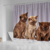 Three Burmese Cat Print Shower Curtain-Free Shipping