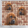 Redbone Coonhound Print Shower Curtains-Free Shipping