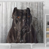 Cane Corso Print Shower Curtains-Free Shipping