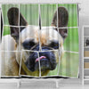 French Bulldog Spread Print Shower Curtains-Free Shipping